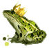 sapo_principe