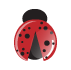 ladybug