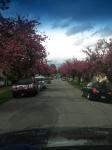 May 13, 2012
