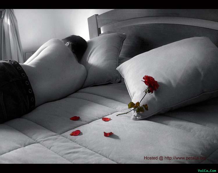 romantic49
