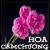 Hoa_camchuong