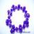 phale_tim