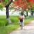Hoa_Phuong Hoa_Phuong