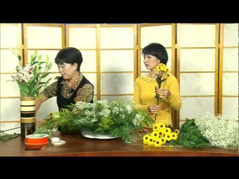 Cam Hoa - Hoi Thao