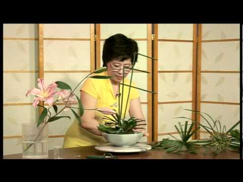 Cam Hoa - Nguyen Cau