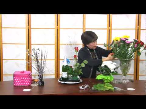 Cam Hoa - New Year