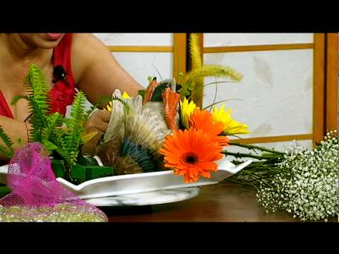 Cam Hoa - Vui Cung Song Nuoc